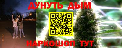 СК Бийск
