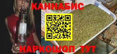 СК Бийск