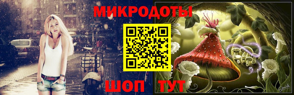 Бузулук  Галлюциногенные грибы Cubensis  Вход с VPN 